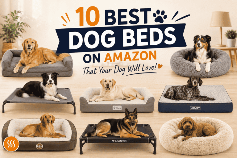 10 Best Dog Beds on Amazon That Your Dog Will Love