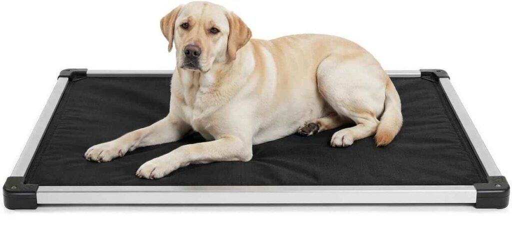 K9 Ballistics Chew Proof Elevated Dog Bed