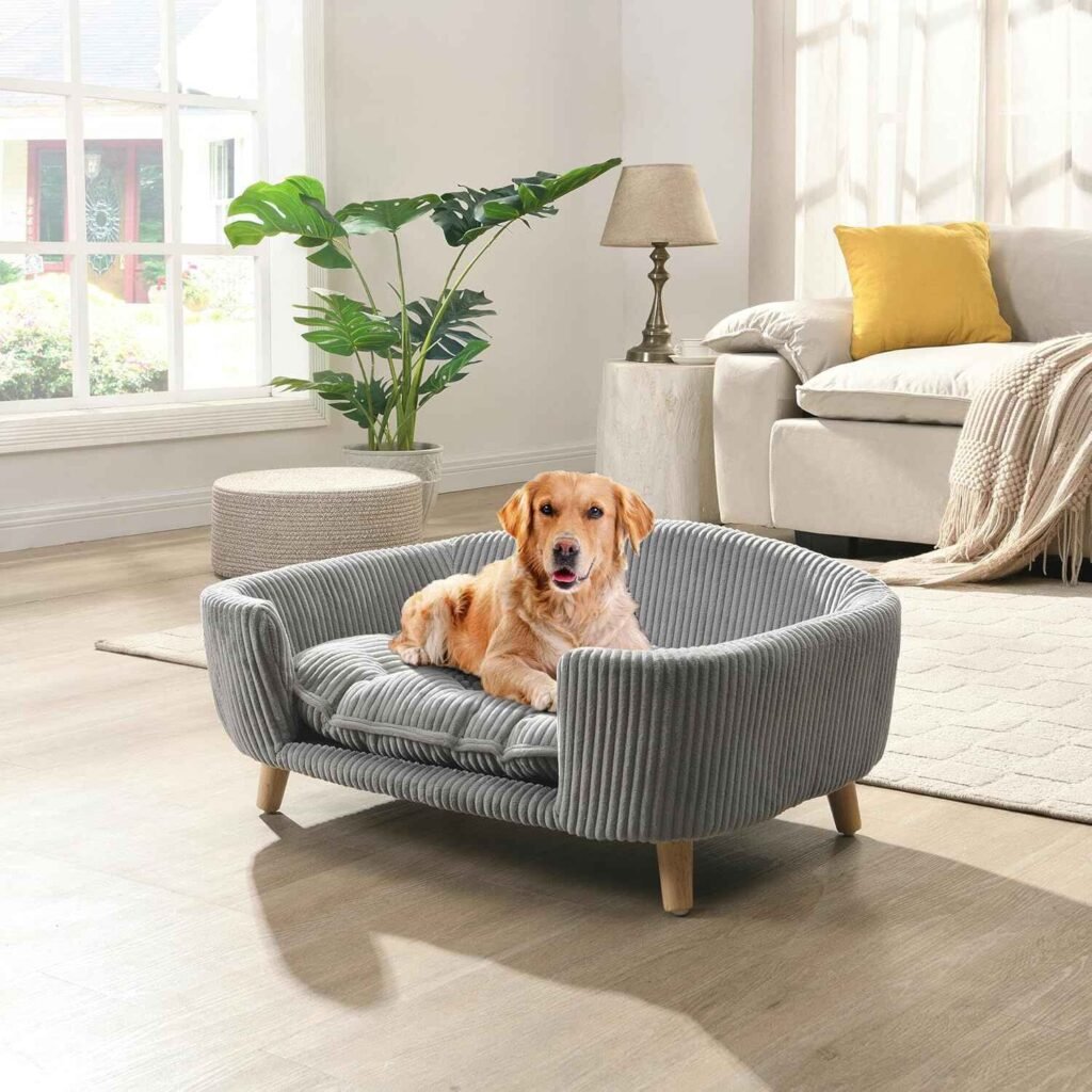 BarksBar Orthopedic Dog Bed